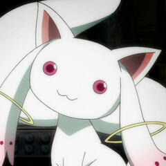 kyuubey - pmmm